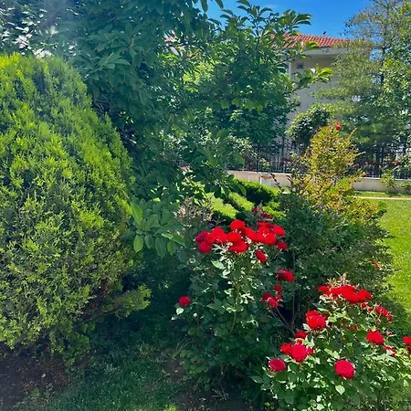 Marina K-s Triumph アパート *