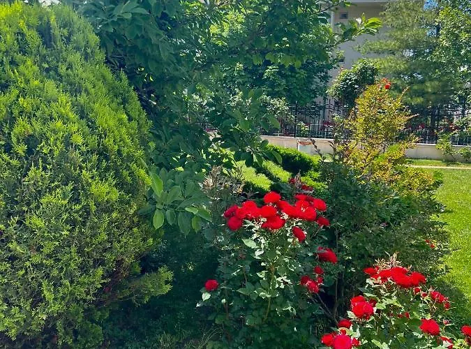 Marina K-s Triumph Apartman *